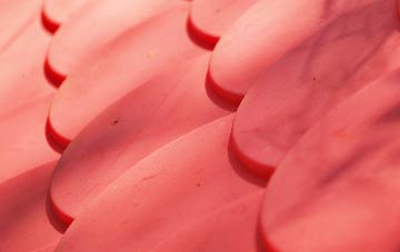 Achiltibuie plastic roof costs