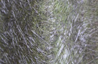 Achiltibuie fibreglass roof work